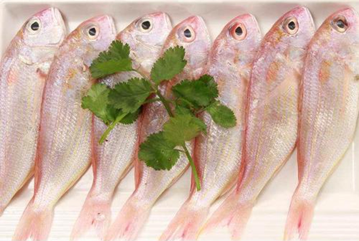 越南冷凍金線魚進(jìn)口報關(guān)資料
