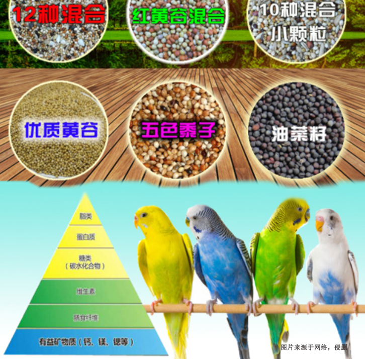 廣州進口加拿大寵物飼料清關(guān)流程