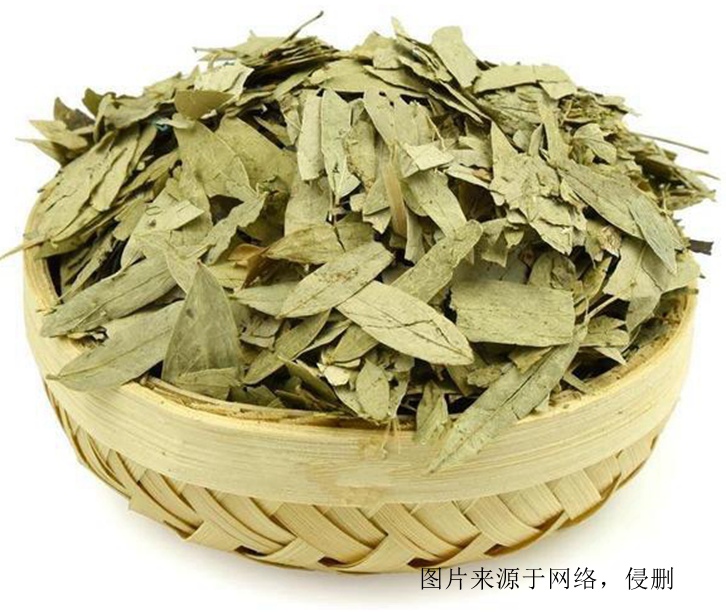 印度番瀉葉進口報關資料