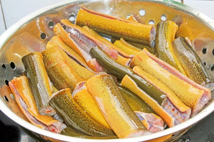孟加拉黃鱔進口清關(guān)費用
