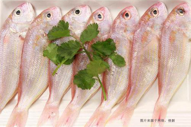 進(jìn)口巴基斯坦金線魚報(bào)關(guān)