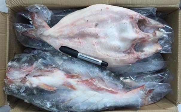越南冷凍巴沙魚進(jìn)口報關(guān)